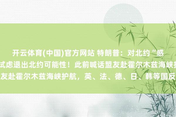 开云体育(中国)官方网站 特朗普：对北约“感到失望”，好意思国应试虑退出北约可能性！此前喊话盟友赴霍尔木兹海峡护航，英、法、德、日、韩等国反应冷淡