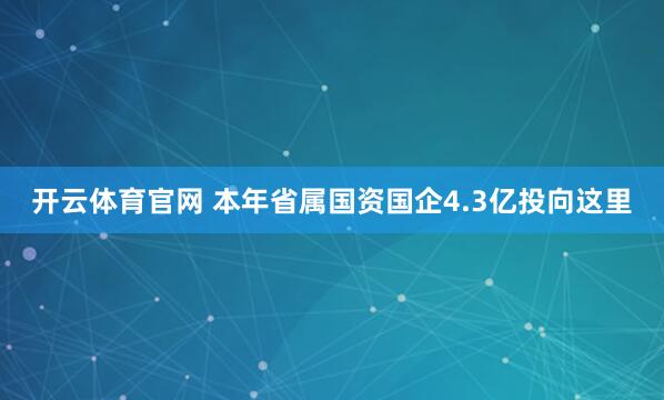 开云体育官网 本年省属国资国企4.3亿投向这里