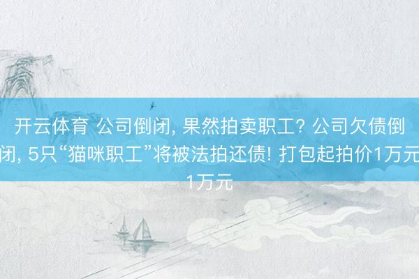 开云体育 公司倒闭， 果然拍卖职工? 公司欠债倒闭， 5只“猫咪职工”将被法拍还债! 打包起拍价1万元