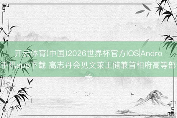 开云体育(中国)2026世界杯官方IOS|Android手机app下载 高志丹会见文莱王储兼首相府高等部长