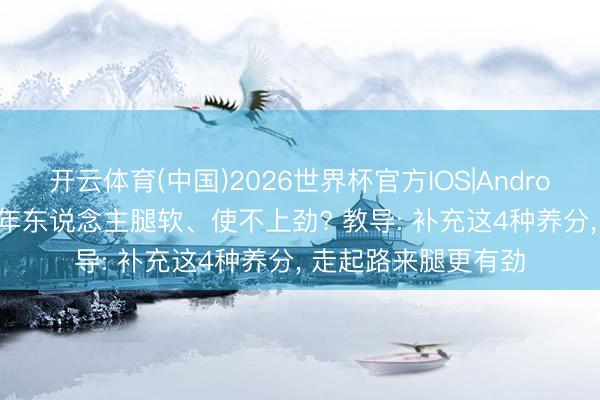 开云体育(中国)2026世界杯官方IOS|Android手机app下载 老年东说念主腿软、使不上劲? 教导: 补充这4种养分， 走起路来腿更有劲