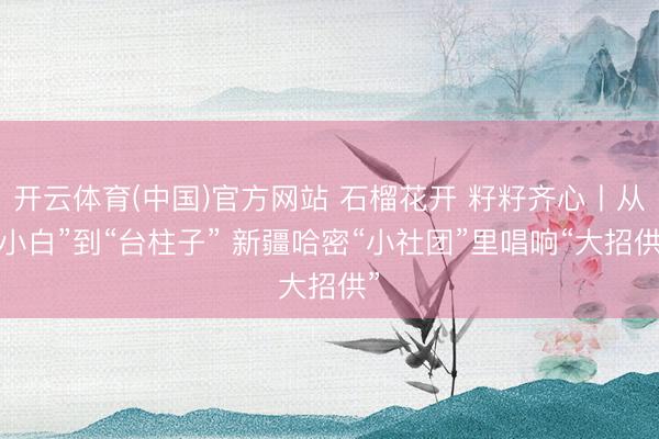开云体育(中国)官方网站 石榴花开 籽籽齐心丨从“小白”到“台柱子” 新疆哈密“小社团”里唱响“大招供”