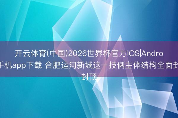开云体育(中国)2026世界杯官方IOS|Android手机app下载 合肥运河新城这一技俩主体结构全面封顶