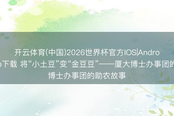 开云体育(中国)2026世界杯官方IOS|Android手机app下载 将“小土豆”变“金豆豆”——厦大博士办事团的助农故事
