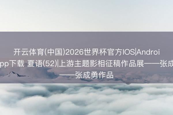 开云体育(中国)2026世界杯官方IOS|Android手机app下载 夏语(52)|上游主题影相征稿作品展——张成勇作品