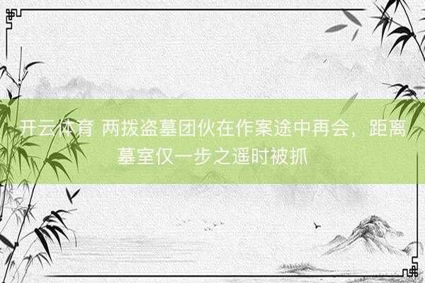 开云体育 两拨盗墓团伙在作案途中再会,距离墓室仅一步之遥时被抓