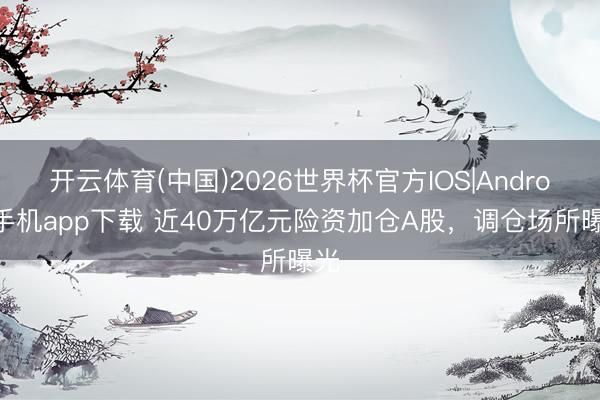 开云体育(中国)2026世界杯官方IOS|Android手机app下载 近40万亿元险资加仓A股，调仓场所曝光
