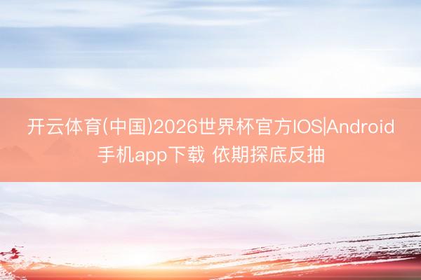 开云体育(中国)2026世界杯官方IOS|Android手机app下载 依期探底反抽