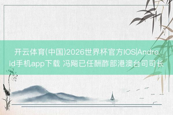 开云体育(中国)2026世界杯官方IOS|Android手机app下载 冯飚已任酬酢部港澳台司司长