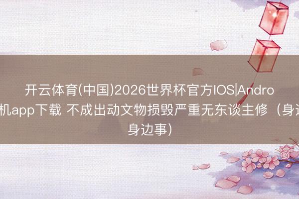 开云体育(中国)2026世界杯官方IOS|Android手机app下载 不成出动文物损毁严重无东谈主修（身边事）
