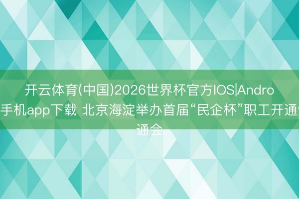开云体育(中国)2026世界杯官方IOS|Android手机app下载 北京海淀举办首届“民企杯”职工开通会