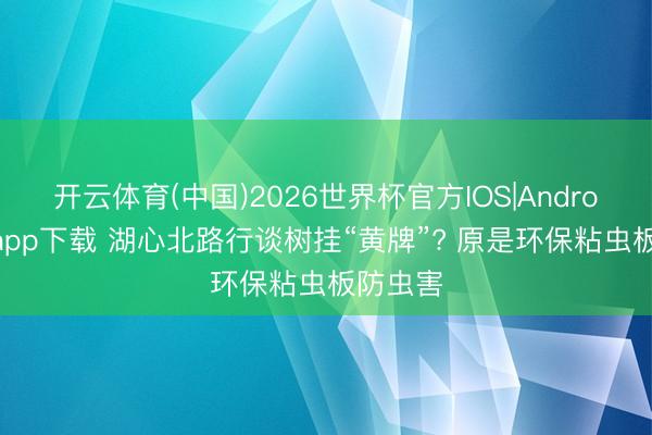 开云体育(中国)2026世界杯官方IOS|Android手机app下载 湖心北路行谈树挂“黄牌”? 原是环保粘虫板防虫害